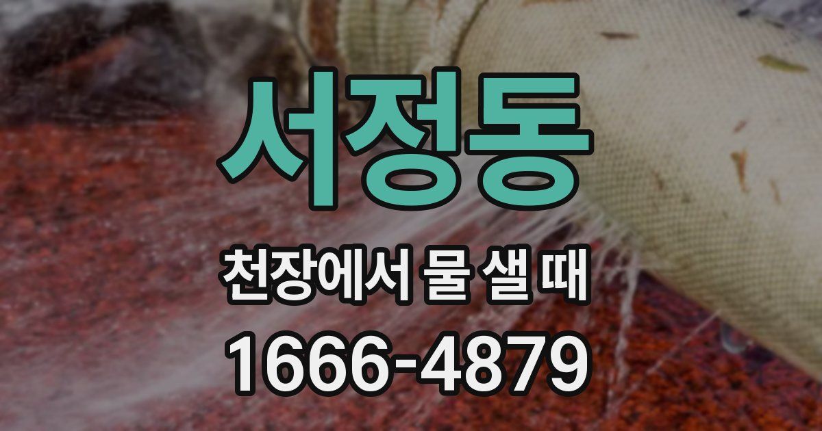 서정동 천장에서 물 샐 때