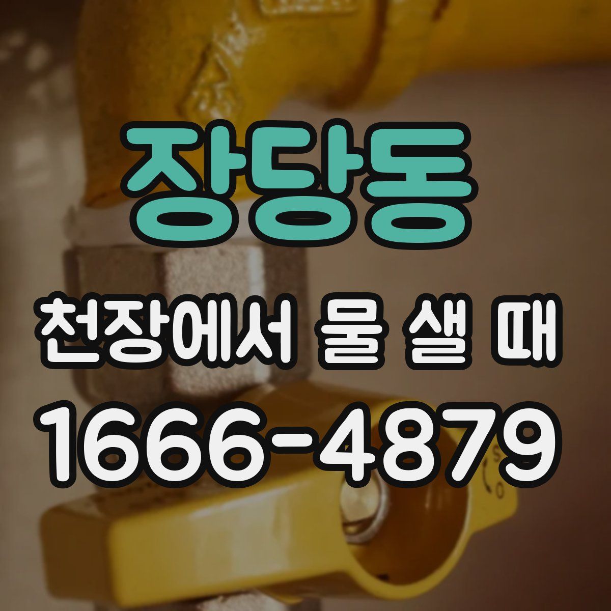 장당동 천장에서 물 샐 때