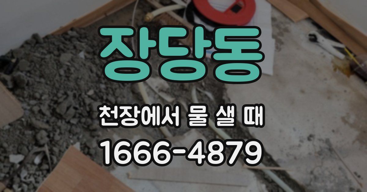 장당동 천장에서 물 샐 때