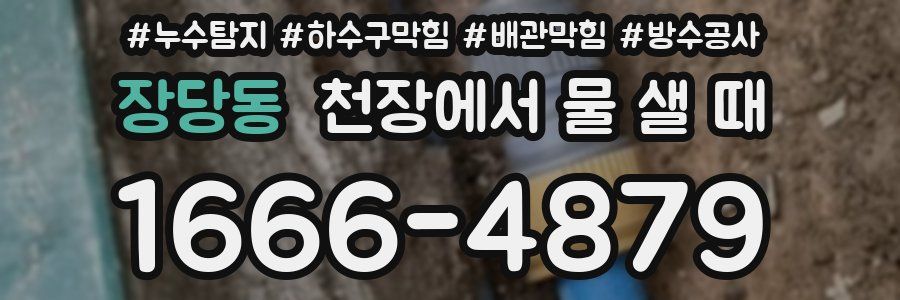 장당동 천장에서 물 샐 때