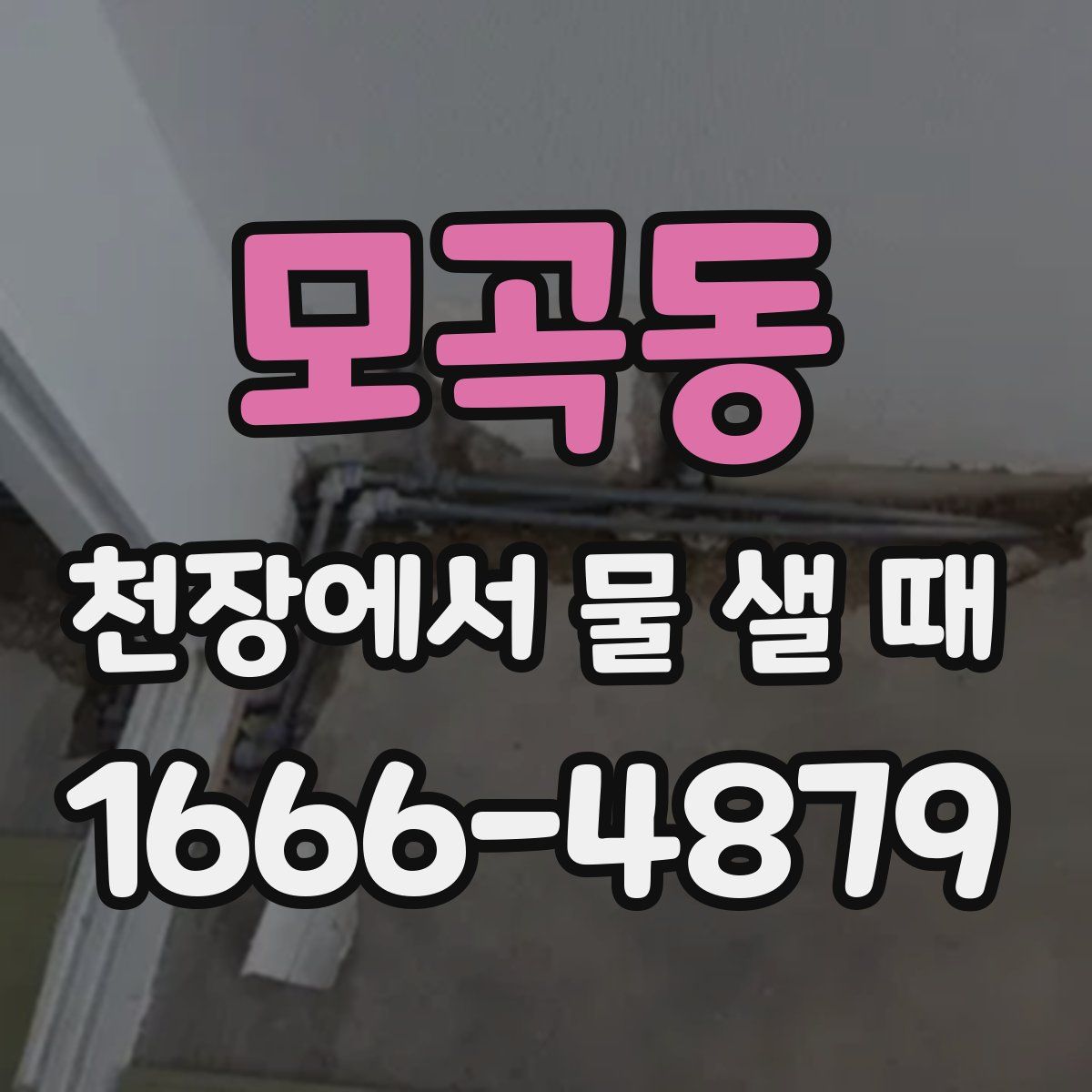 모곡동 천장에서 물 샐 때