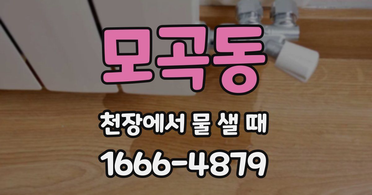 모곡동 천장에서 물 샐 때