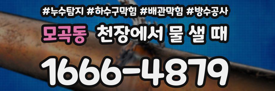 모곡동 천장에서 물 샐 때