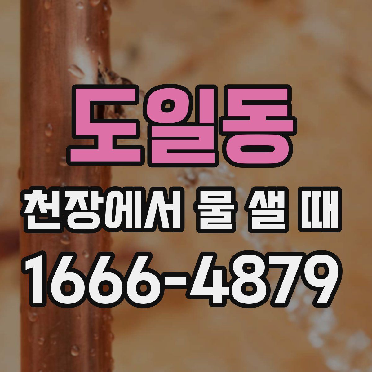 도일동 천장에서 물 샐 때