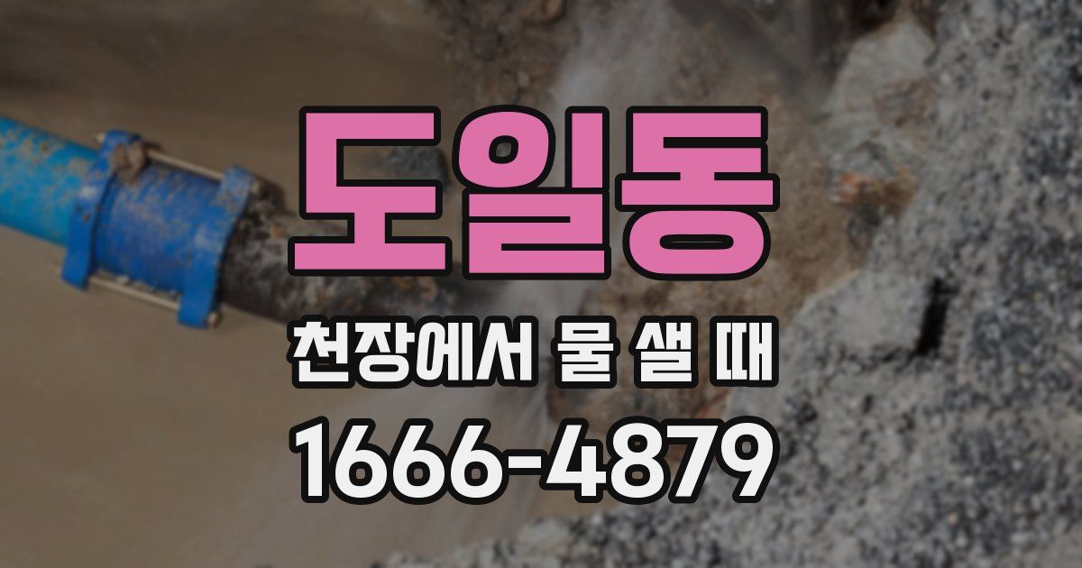 도일동 천장에서 물 샐 때