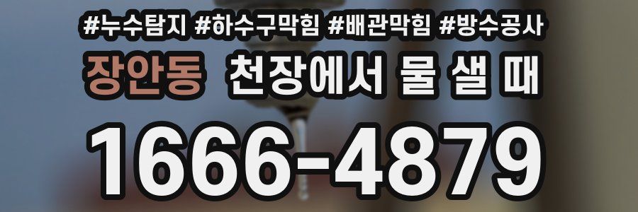 장안동 천장에서 물 샐 때