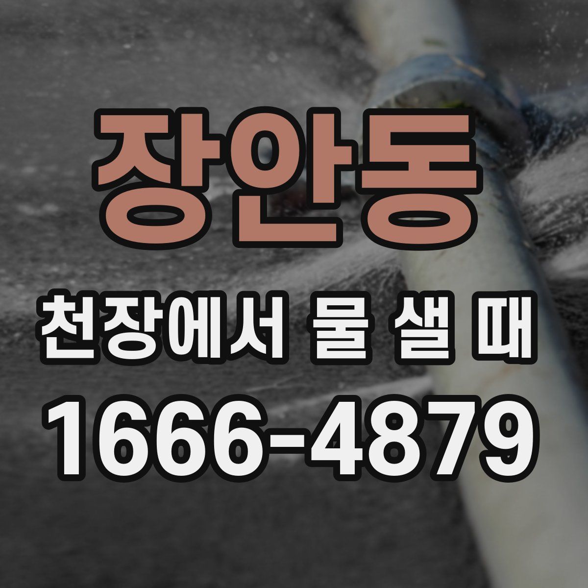 장안동 천장에서 물 샐 때