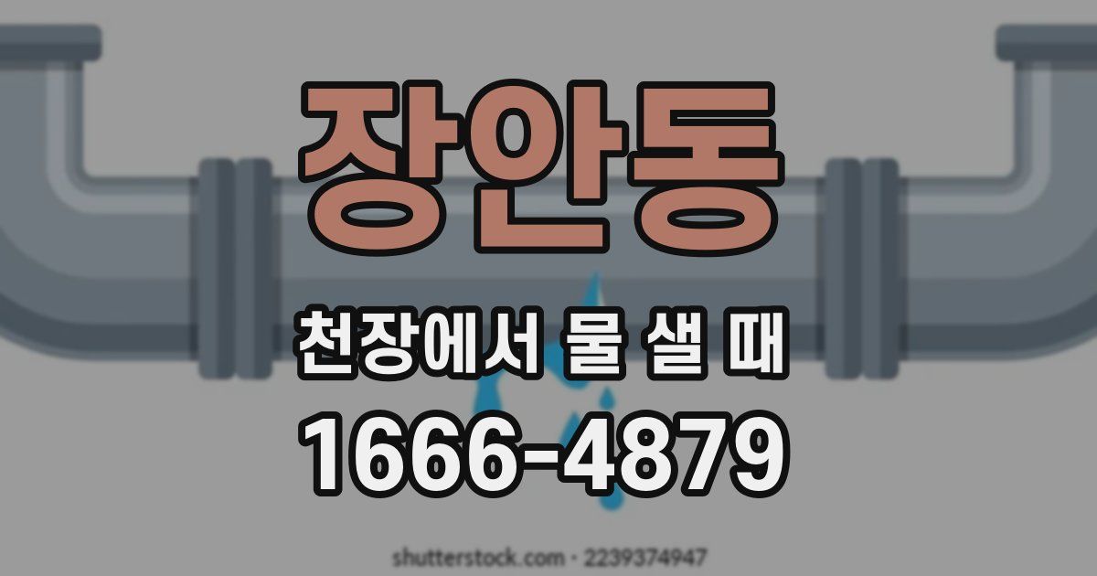 장안동 천장에서 물 샐 때
