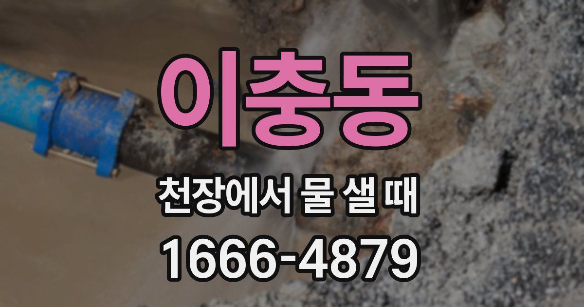 이충동 천장에서 물 샐 때