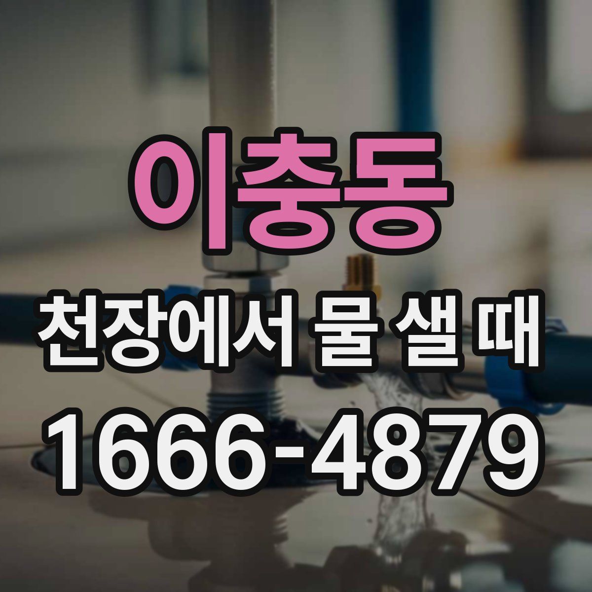 이충동 천장에서 물 샐 때