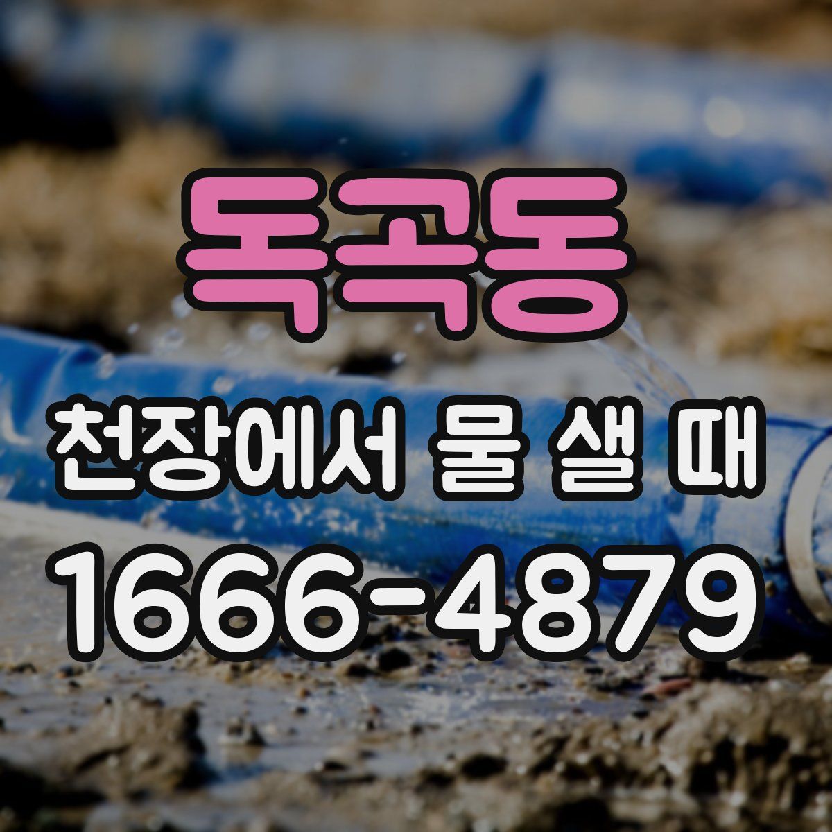 독곡동 천장에서 물 샐 때