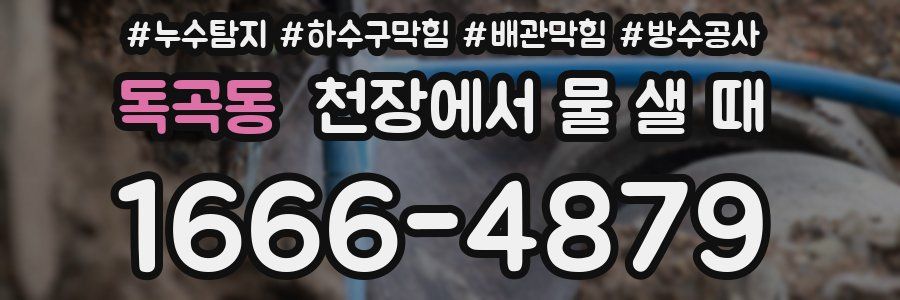 독곡동 천장에서 물 샐 때