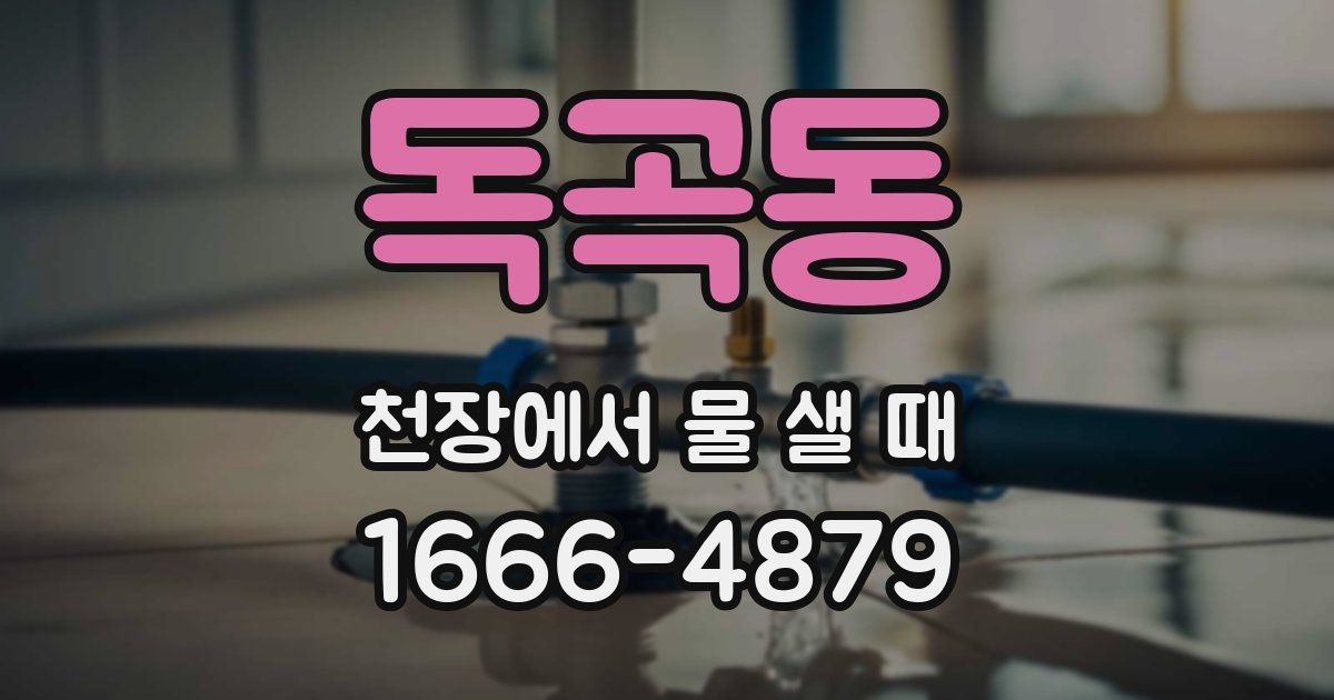 독곡동 천장에서 물 샐 때