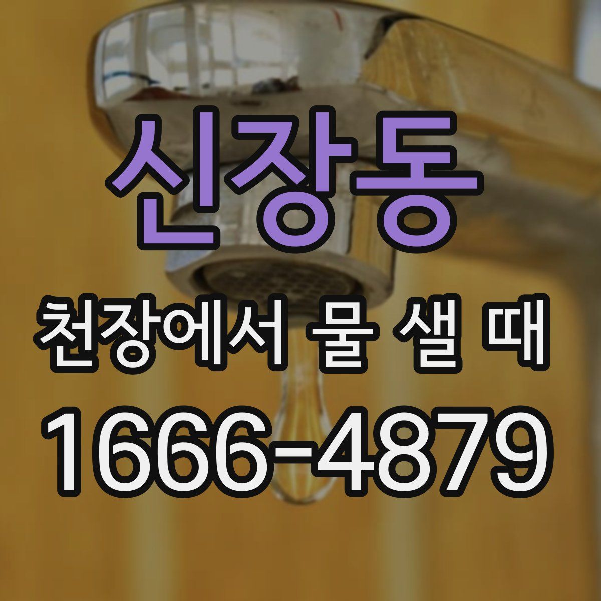 신장동 천장에서 물 샐 때