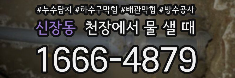 신장동 천장에서 물 샐 때