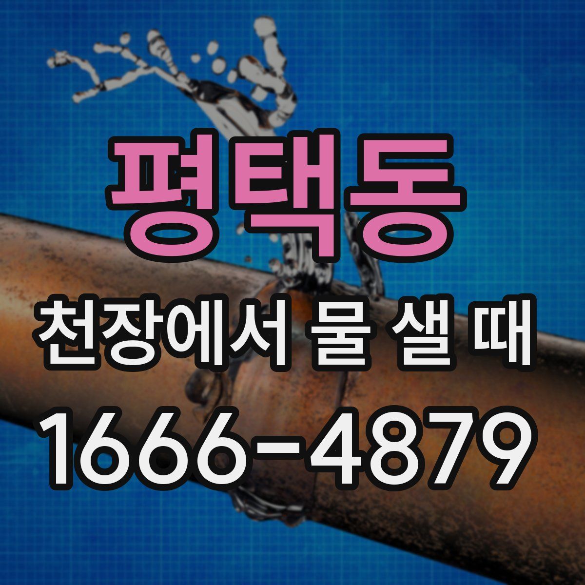평택동 천장에서 물 샐 때