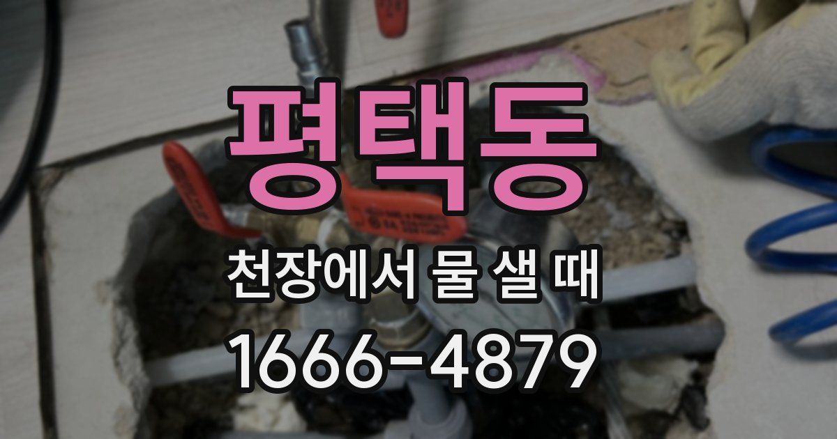 평택동 천장에서 물 샐 때