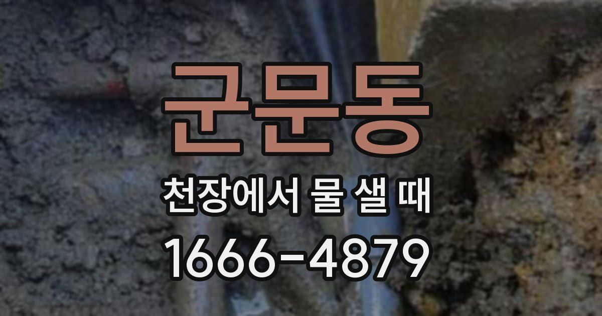 군문동 천장에서 물 샐 때