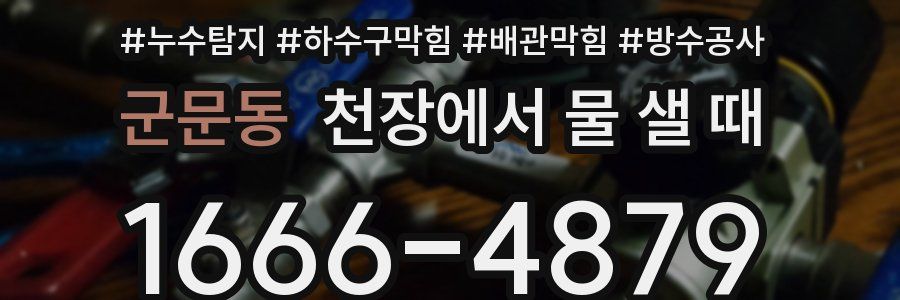 군문동 천장에서 물 샐 때