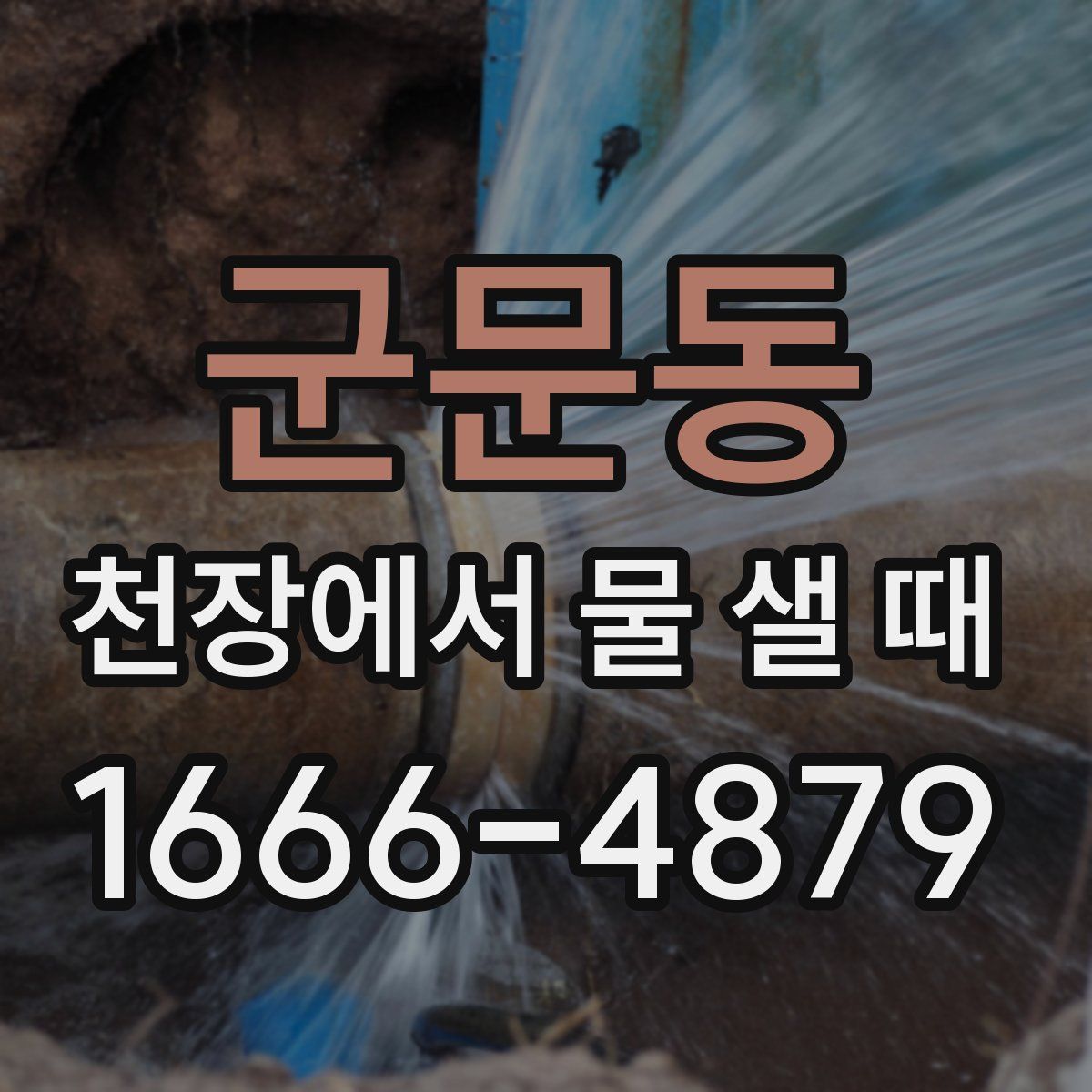 군문동 천장에서 물 샐 때