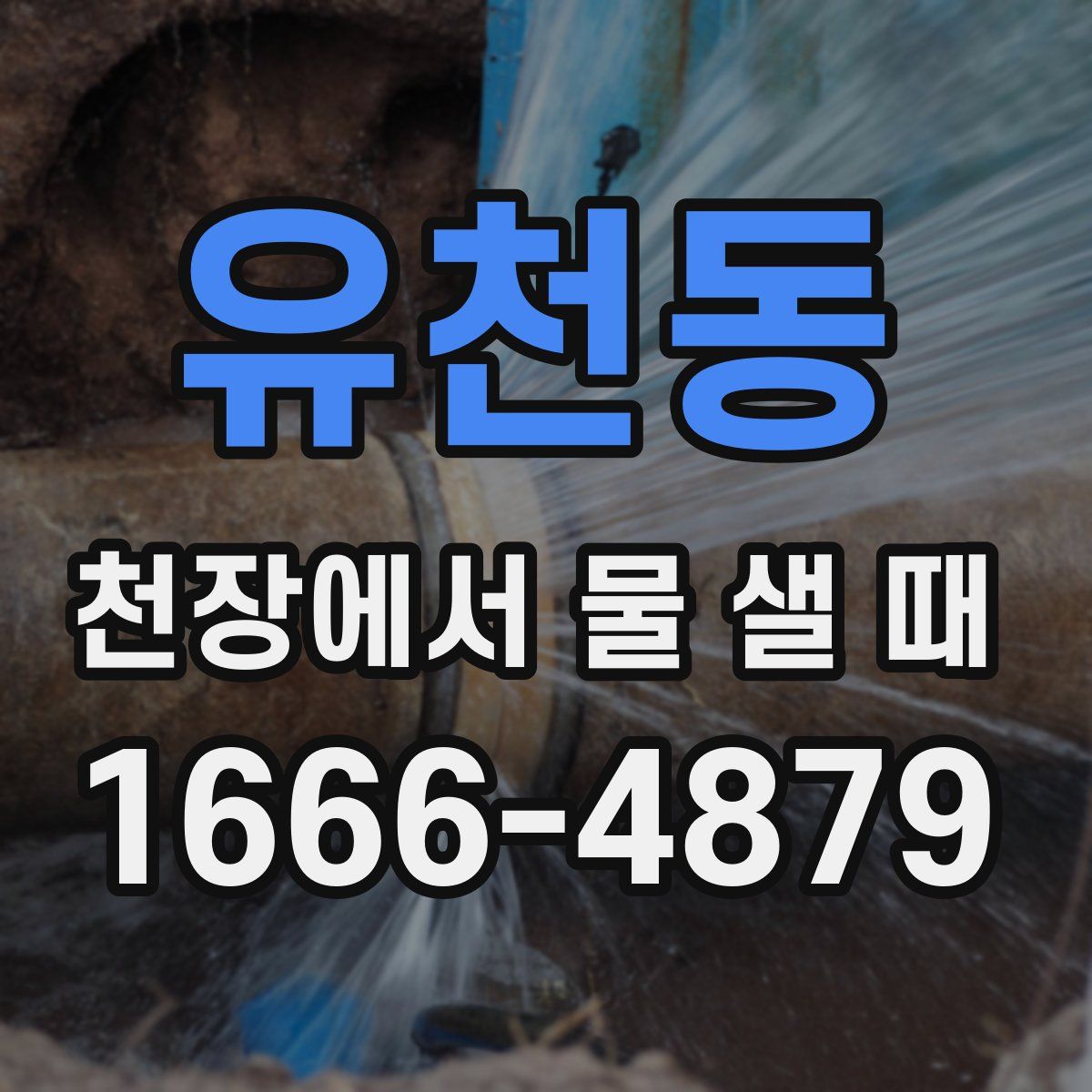 유천동 천장에서 물 샐 때
