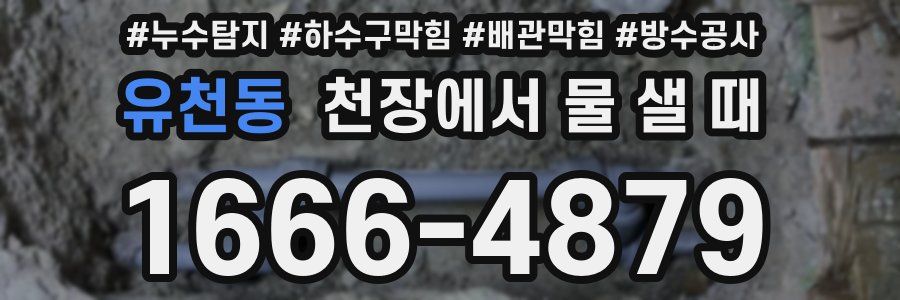 유천동 천장에서 물 샐 때