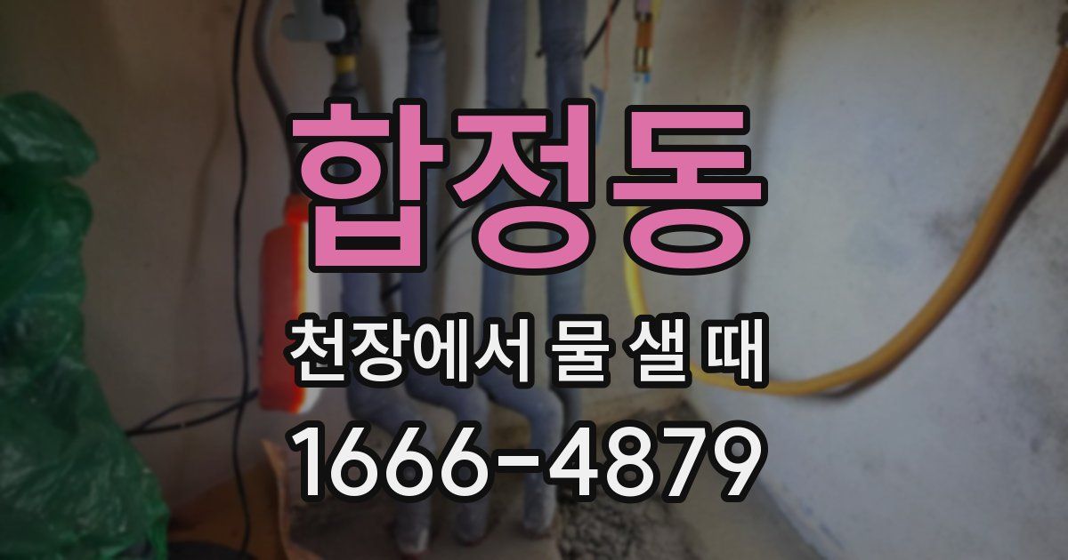 합정동 천장에서 물 샐 때