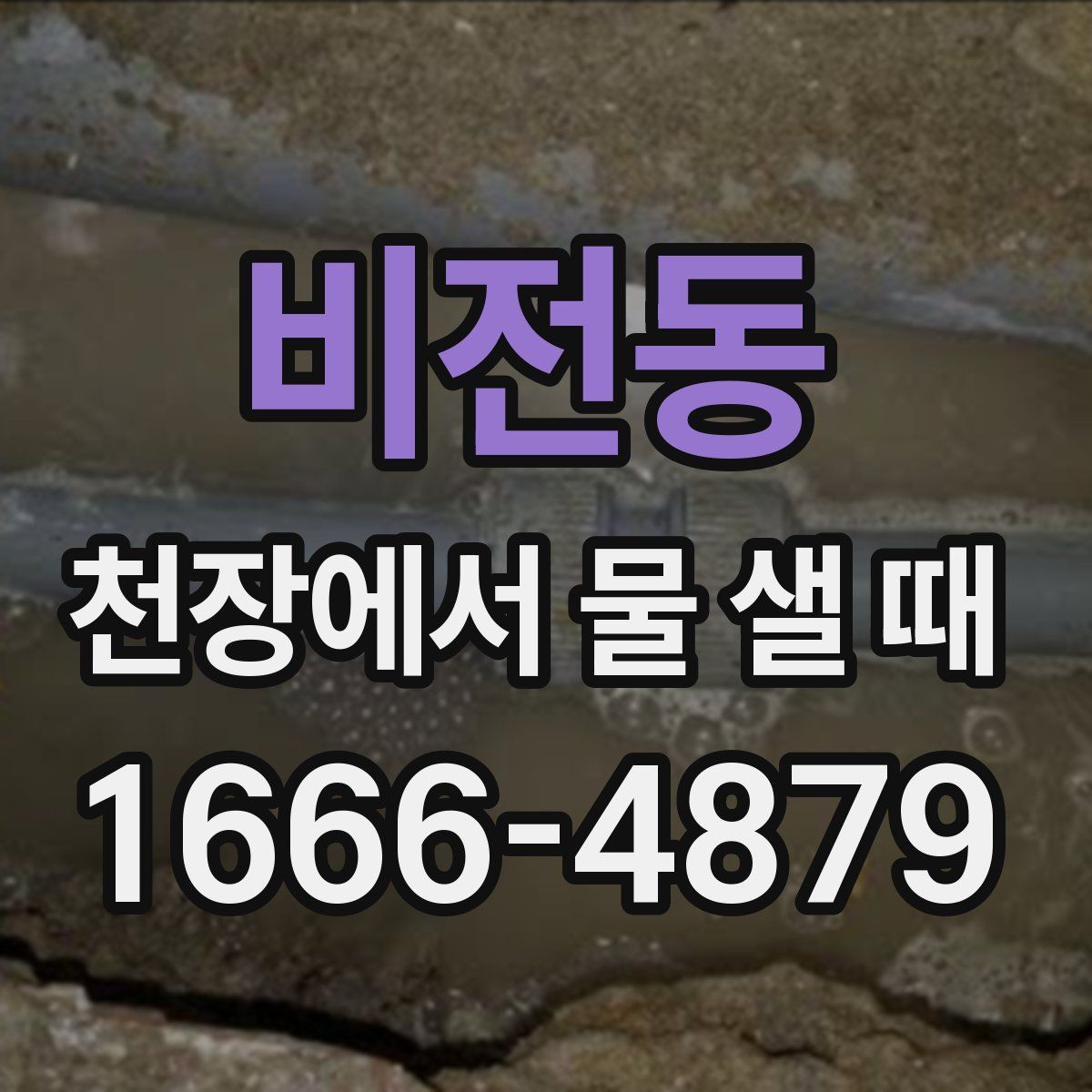 비전동 천장에서 물 샐 때