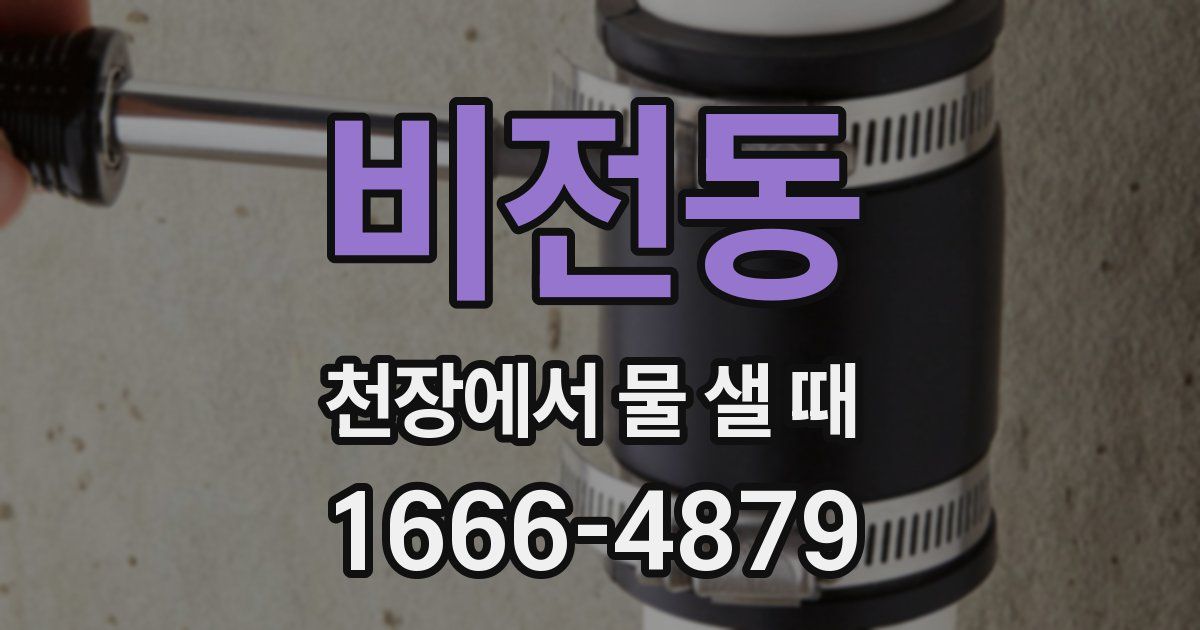 비전동 천장에서 물 샐 때