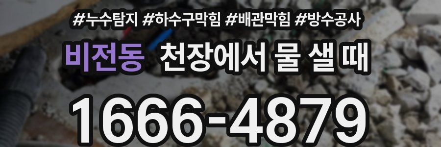 비전동 천장에서 물 샐 때