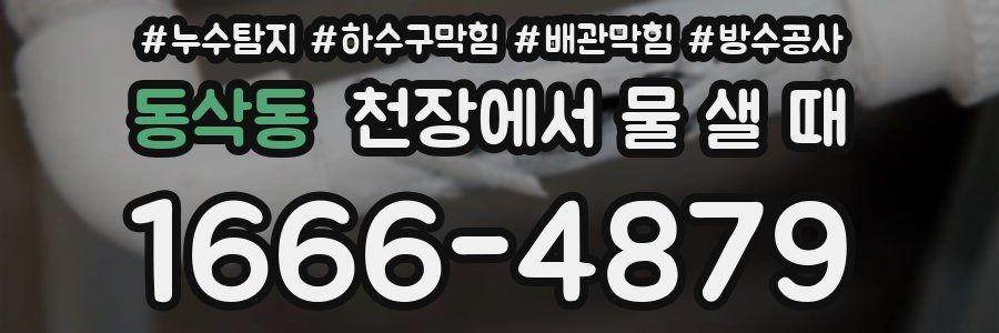 동삭동 천장에서 물 샐 때