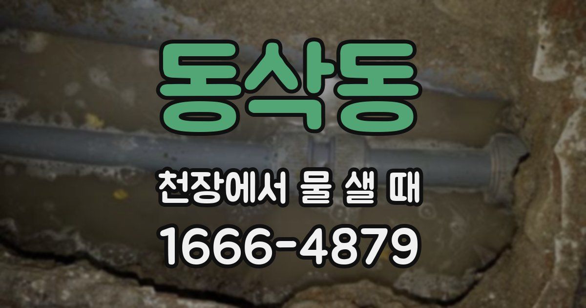 동삭동 천장에서 물 샐 때