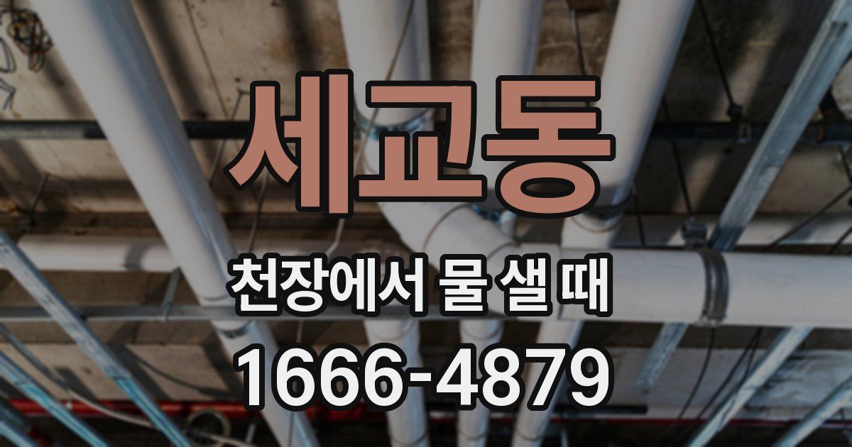 세교동 천장에서 물 샐 때