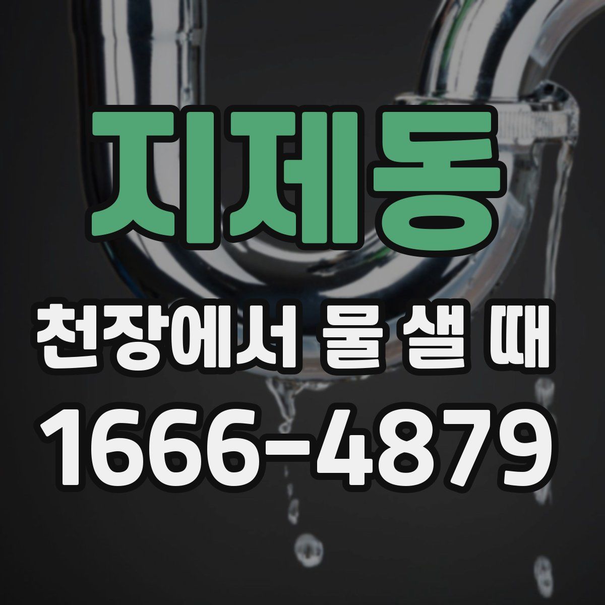 지제동 천장에서 물 샐 때