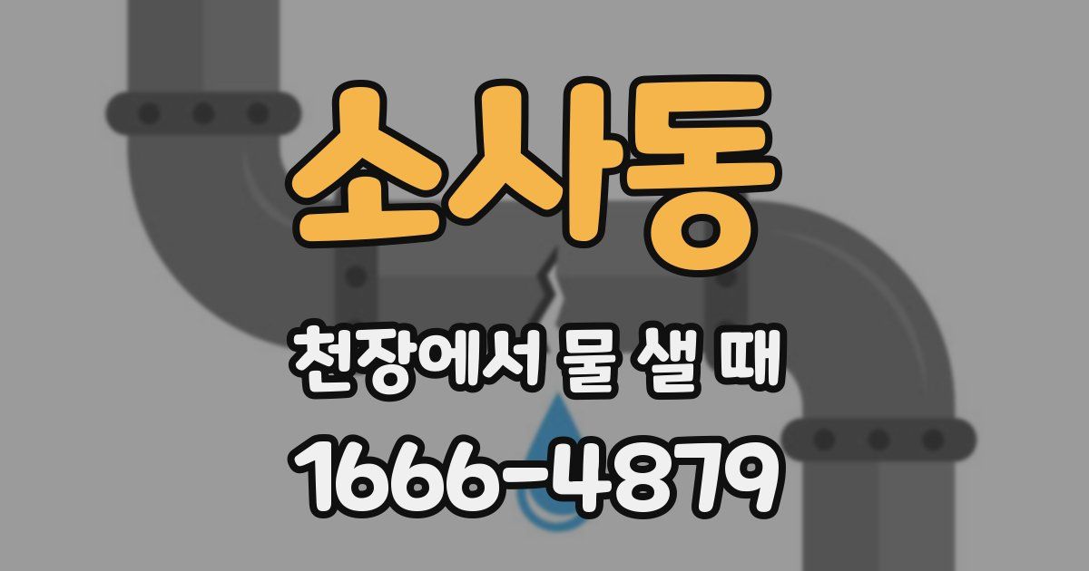 소사동 천장에서 물 샐 때