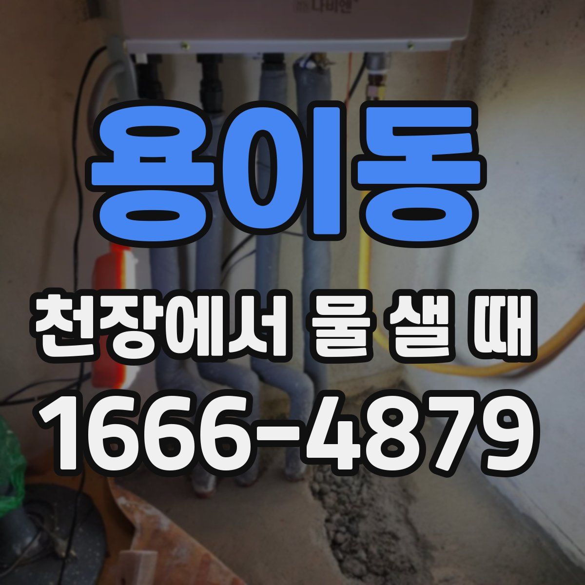 용이동 천장에서 물 샐 때