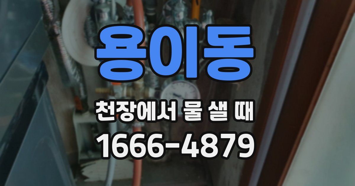 용이동 천장에서 물 샐 때