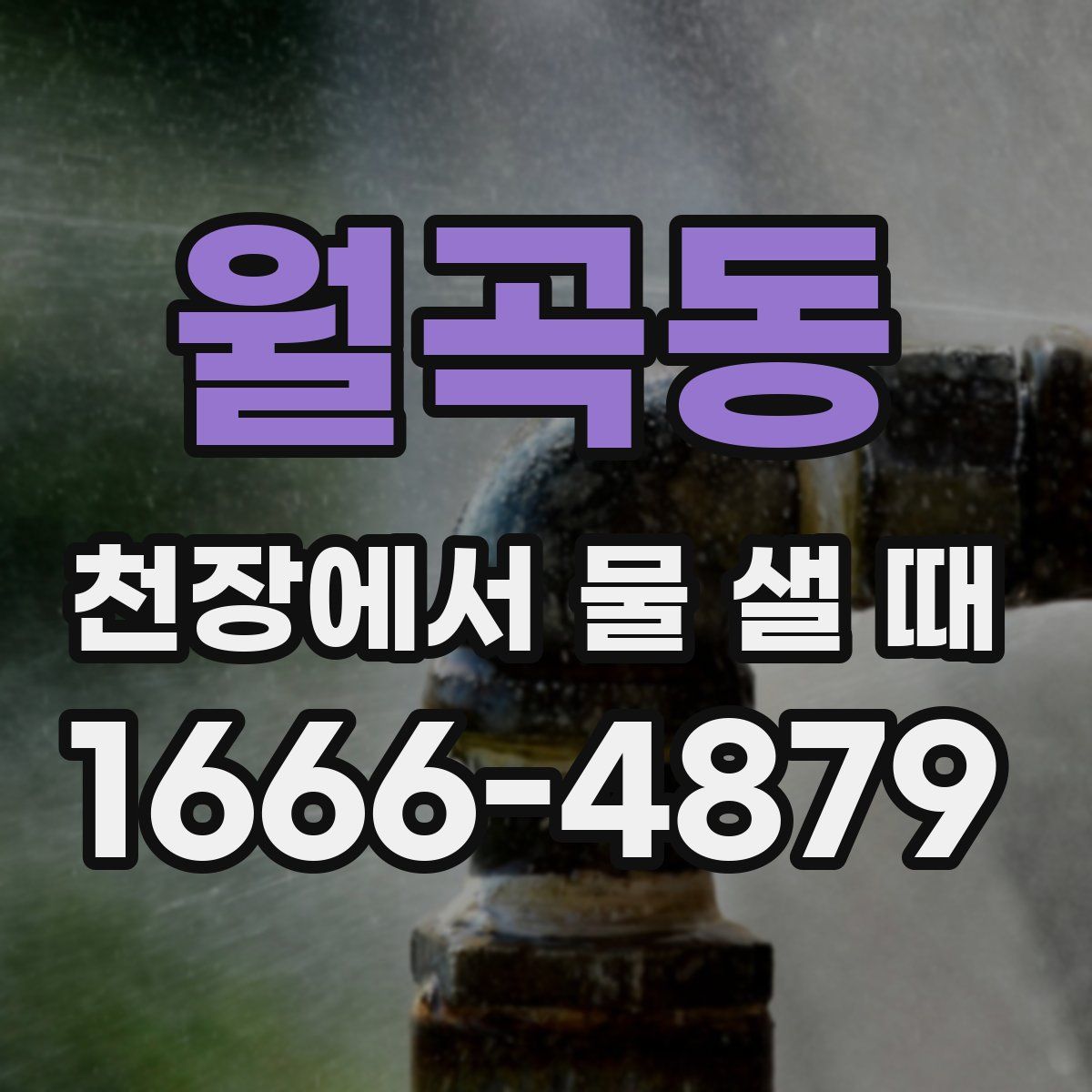 월곡동 천장에서 물 샐 때