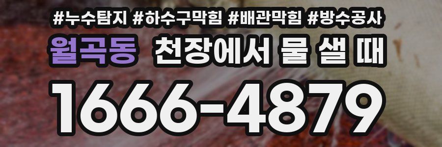 월곡동 천장에서 물 샐 때