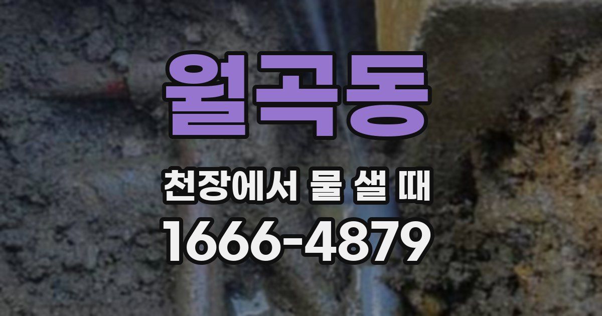 월곡동 천장에서 물 샐 때