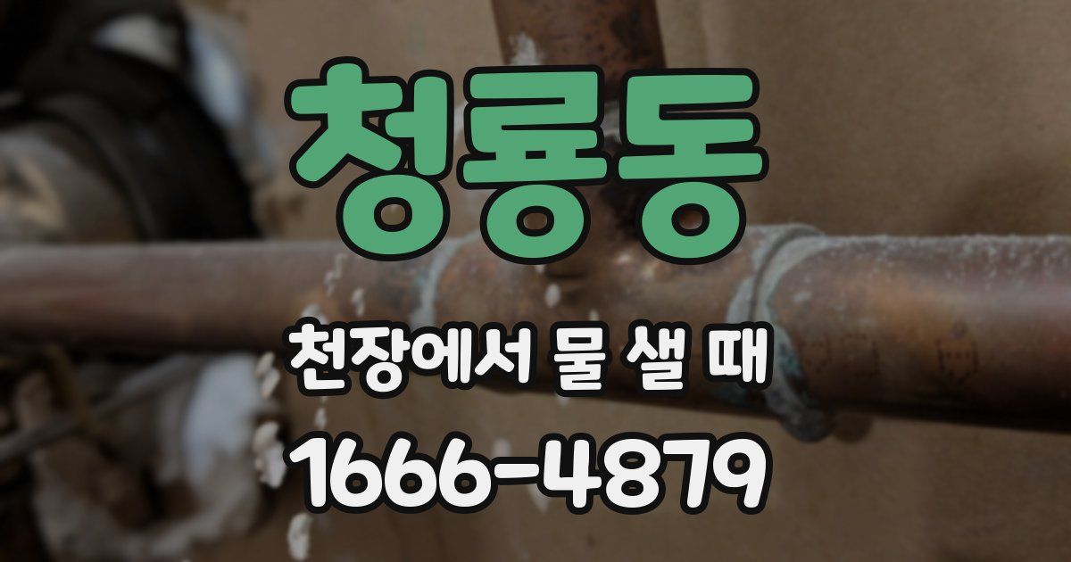 청룡동 천장에서 물 샐 때
