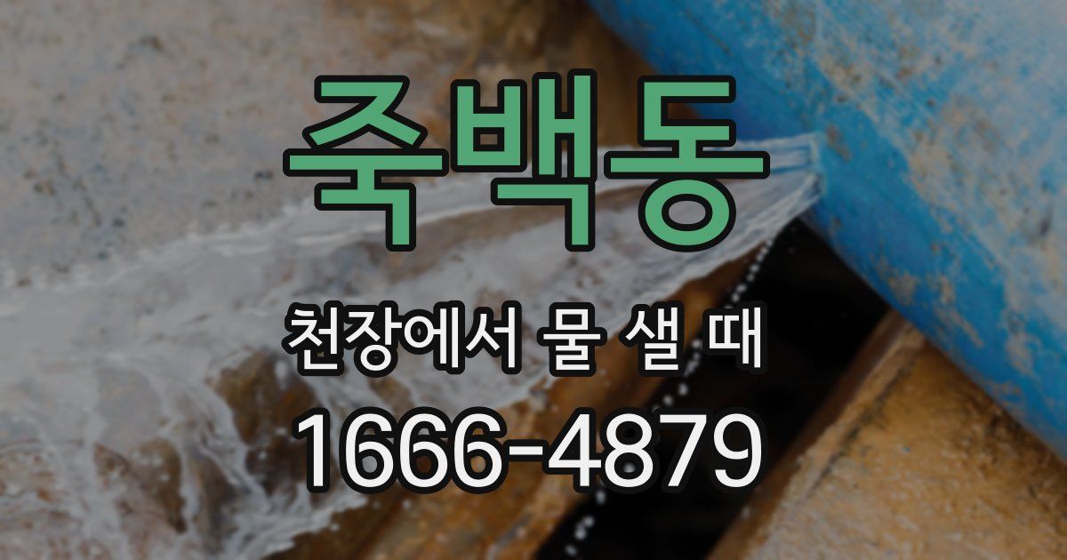 죽백동 천장에서 물 샐 때