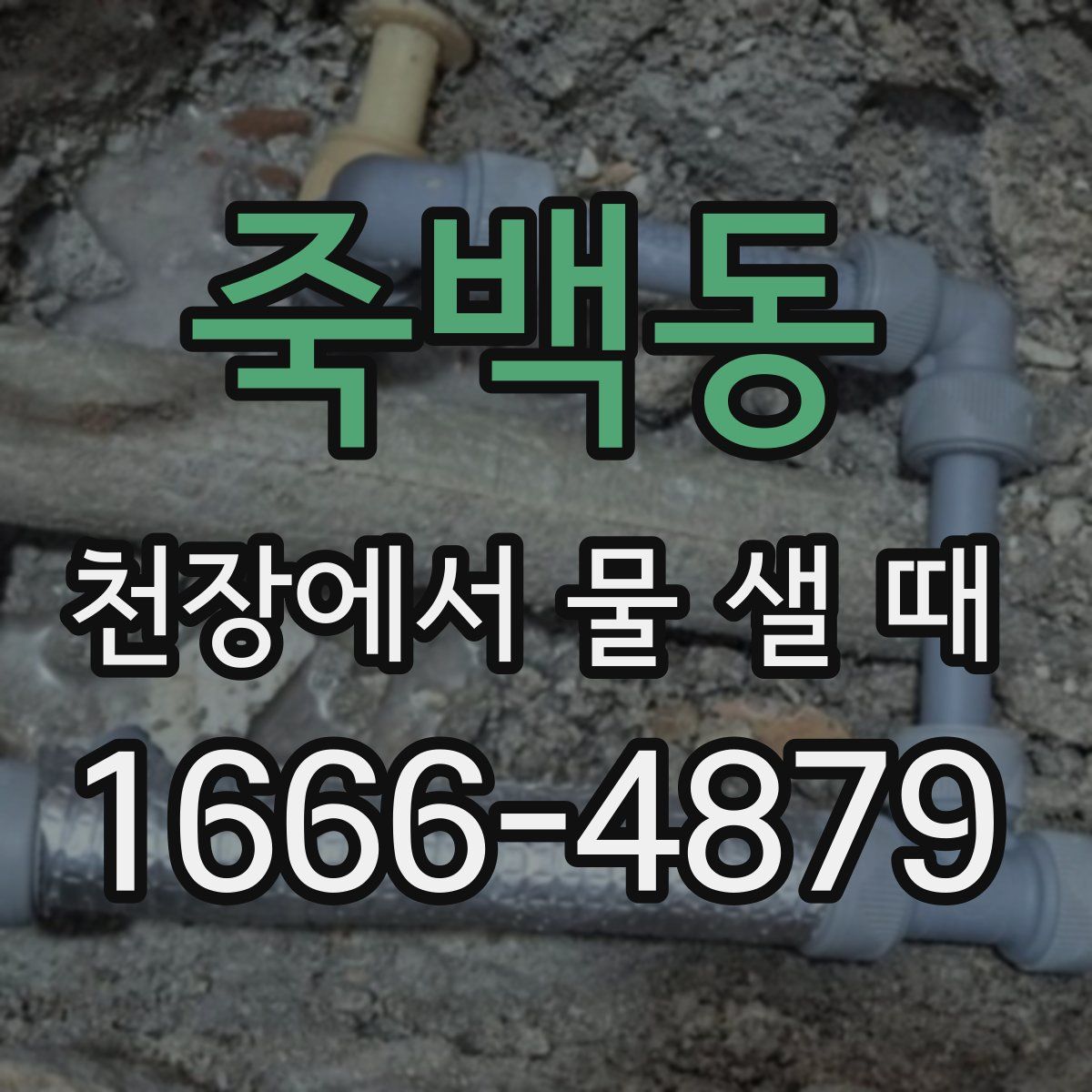 죽백동 천장에서 물 샐 때