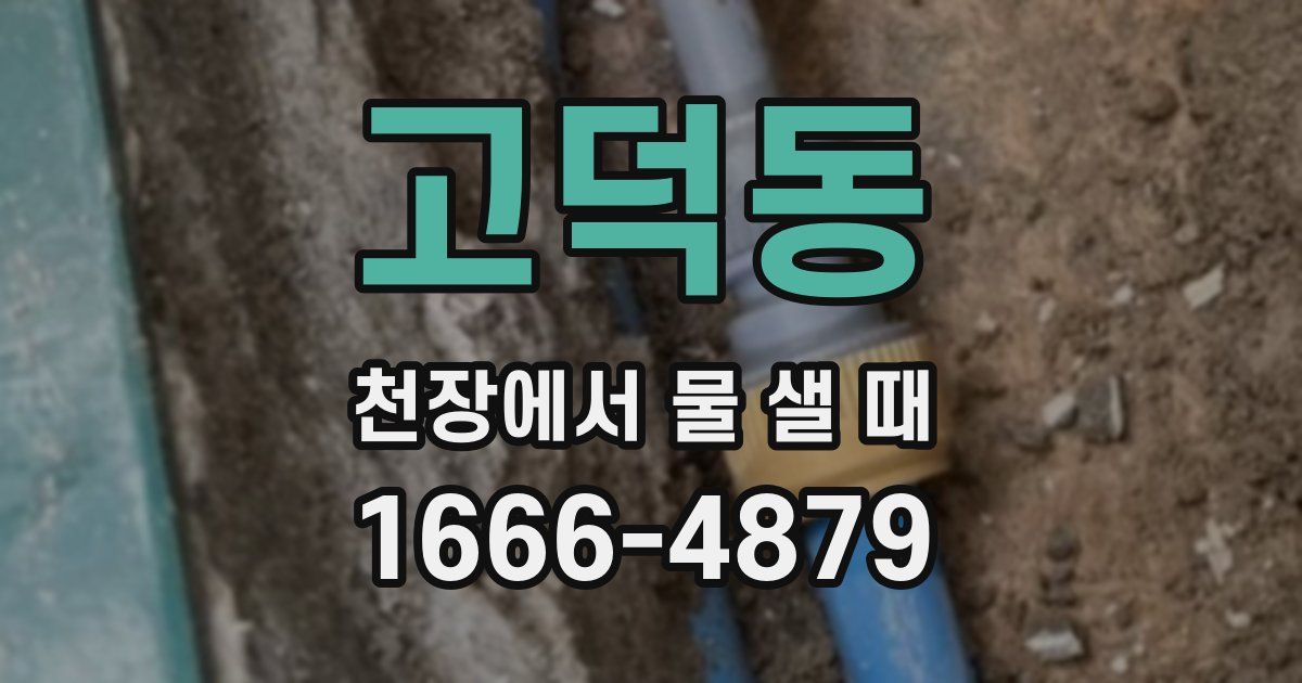 고덕동 천장에서 물 샐 때