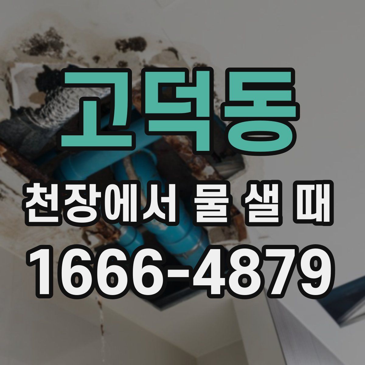 고덕동 천장에서 물 샐 때