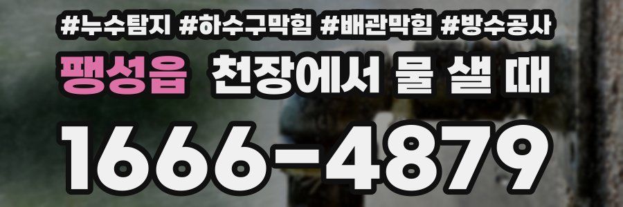 팽성읍 천장에서 물 샐 때