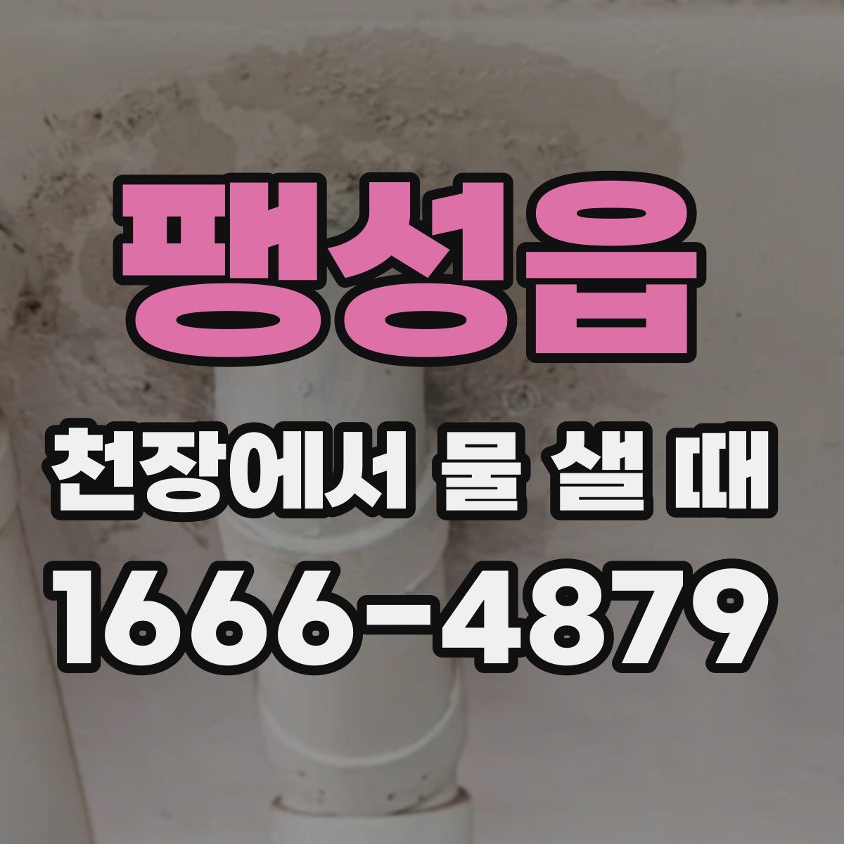 팽성읍 천장에서 물 샐 때