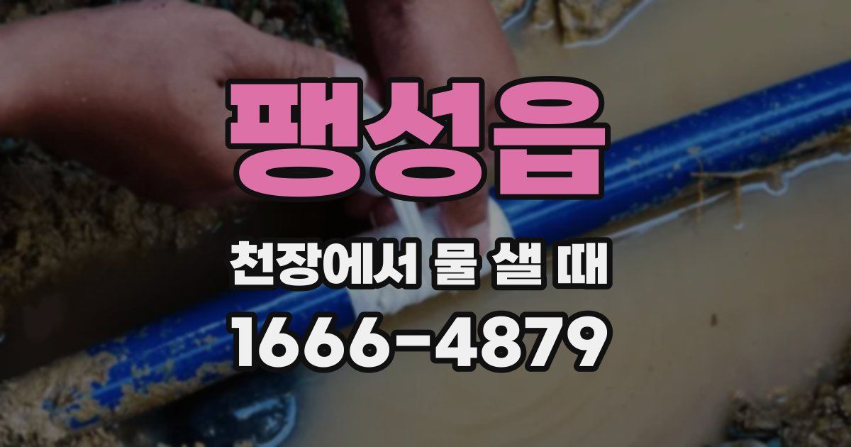 팽성읍 천장에서 물 샐 때