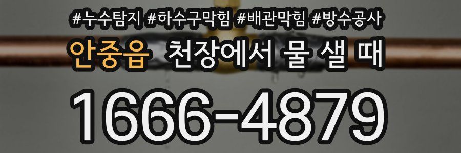 안중읍 천장에서 물 샐 때