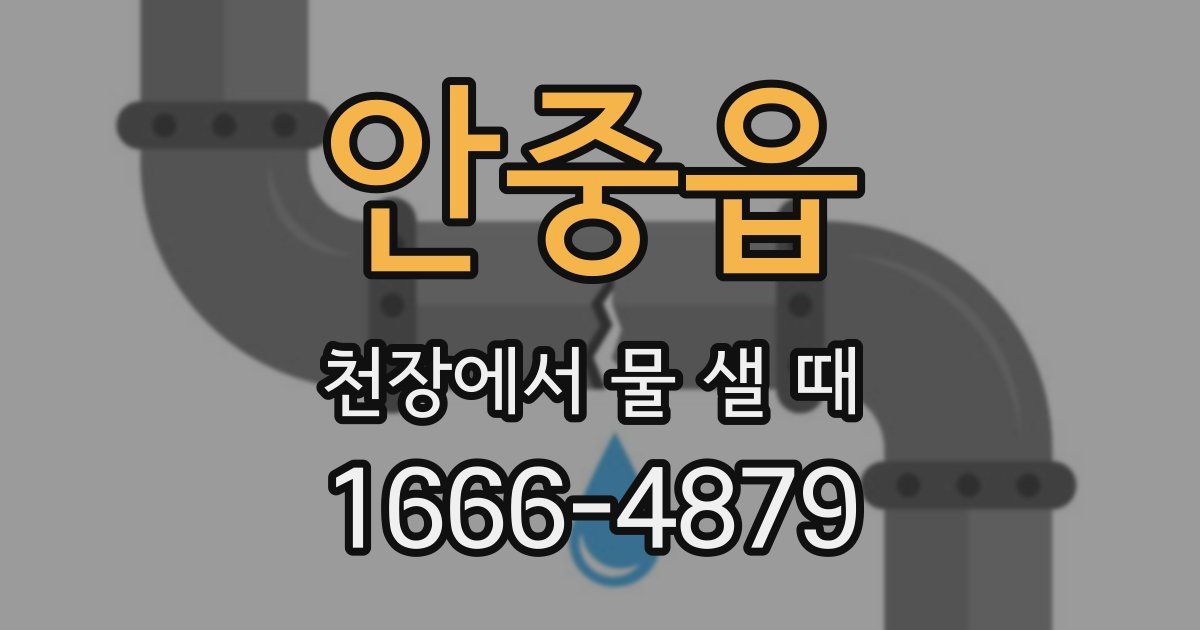 안중읍 천장에서 물 샐 때